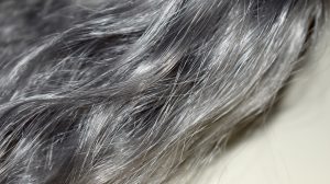 Graue Haare – Pflegemethoden