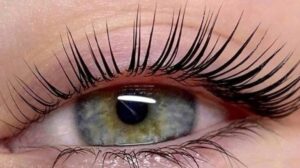 Die besten Sets für das Wimpernlifting zu Hause - Bewertung